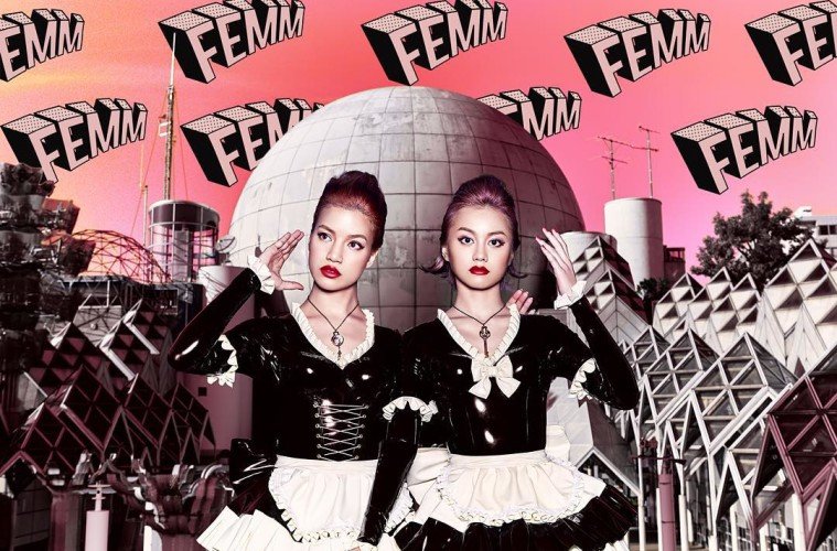 FEMM RiRi and LuLa